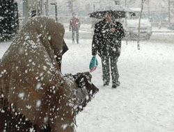 Kar Ya�d�, Vali Mahsur Kald�