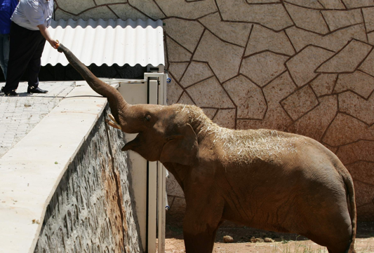 Hayat onlara güzel - Internet Haber