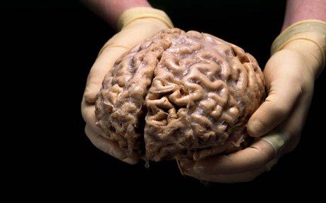 insan-beyni.jpg