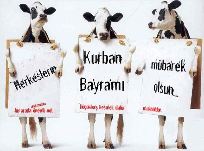 kurban-bayrami-ilginç-mesajlari.jpg