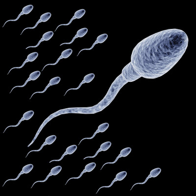 sperm.20150325170159.jpg